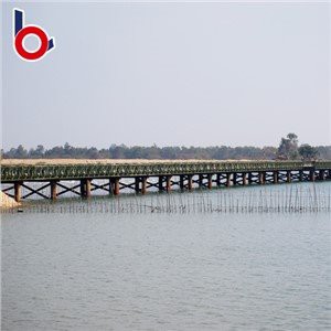 Fabrikspris Bailey Bridge Installationshandbok Lätt och bekvämt